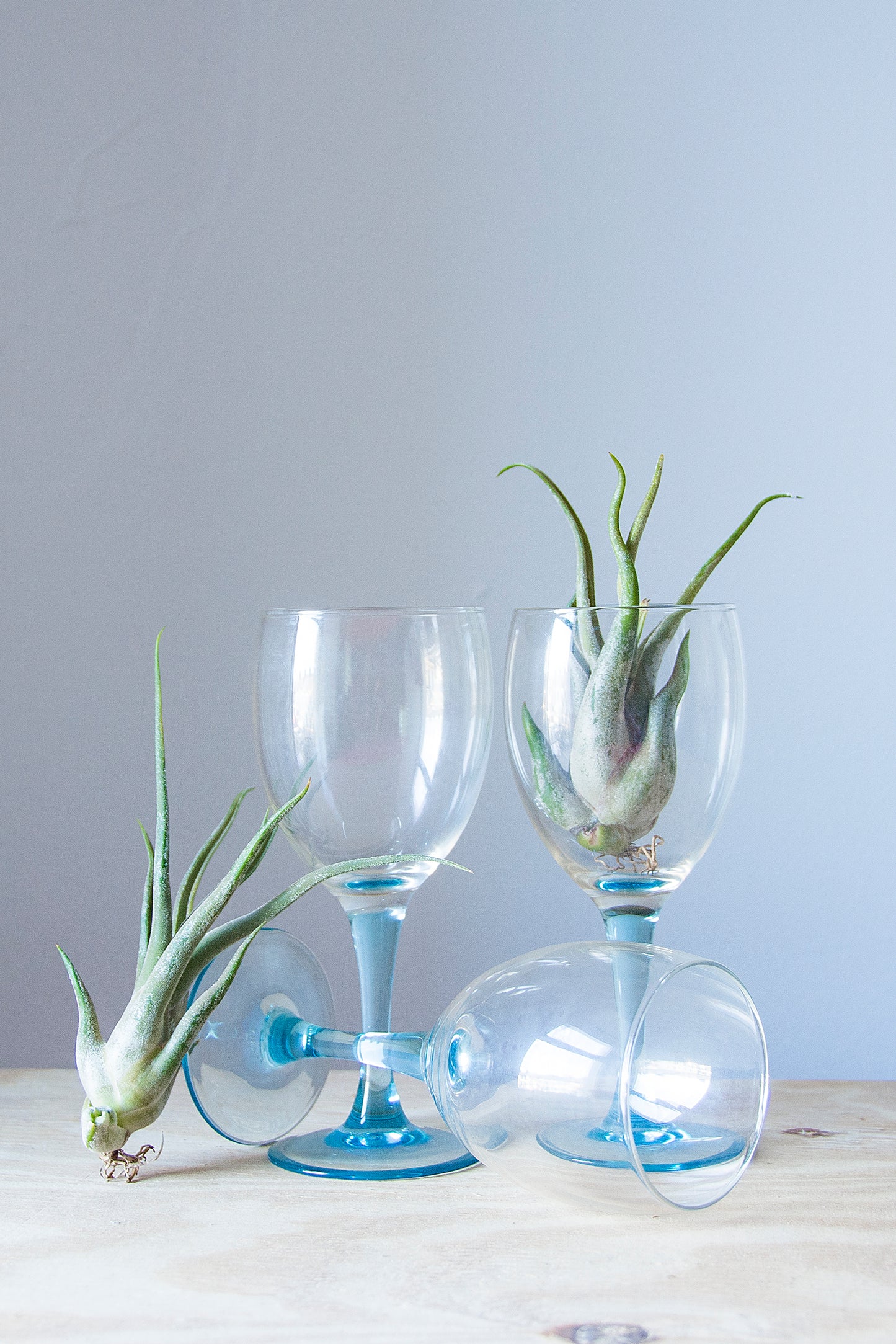 Sky Blue Wine Glasses